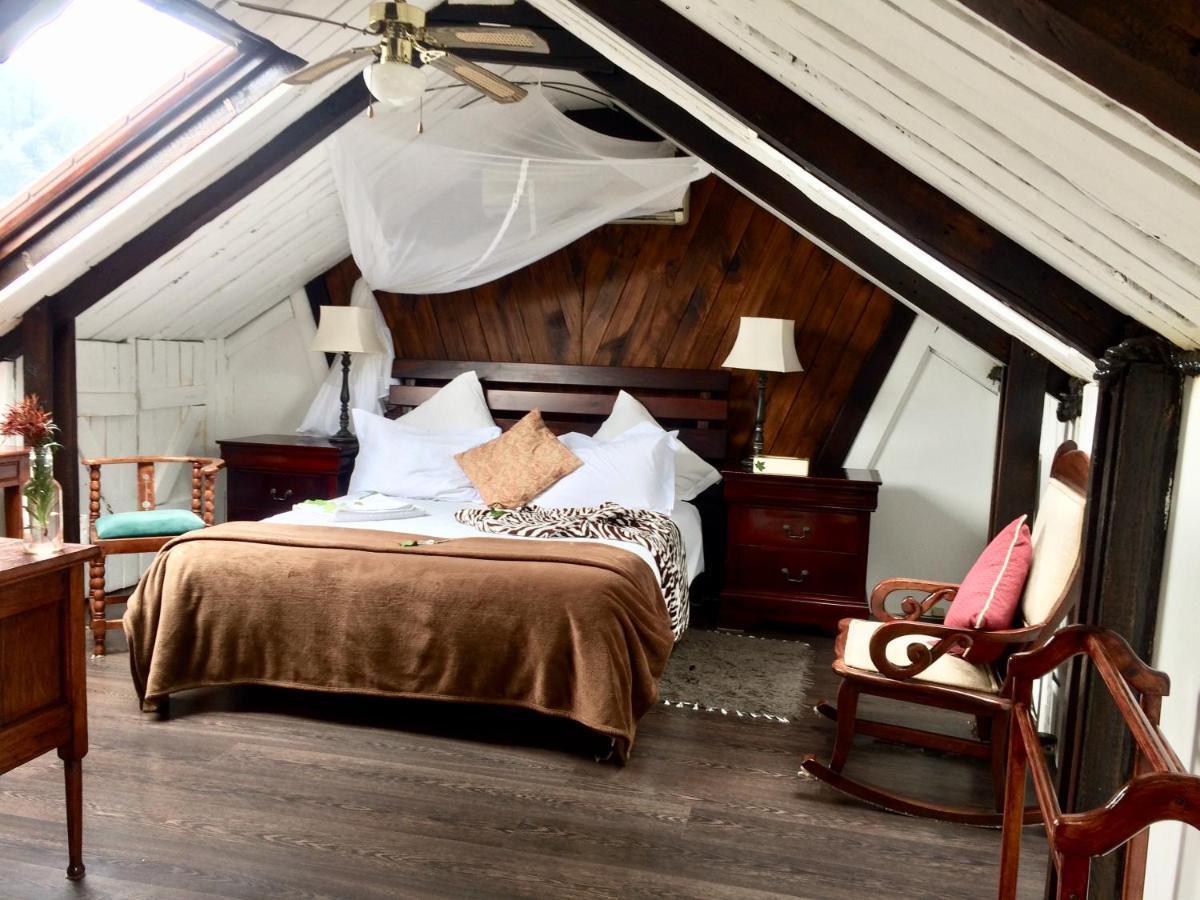 Harfield Guest Villa ケープタウン エクステリア 写真